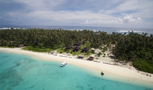 Life is Better When You Surf® - David Epper