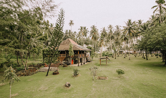 Life is Better When You Surf® - Telos101 resort