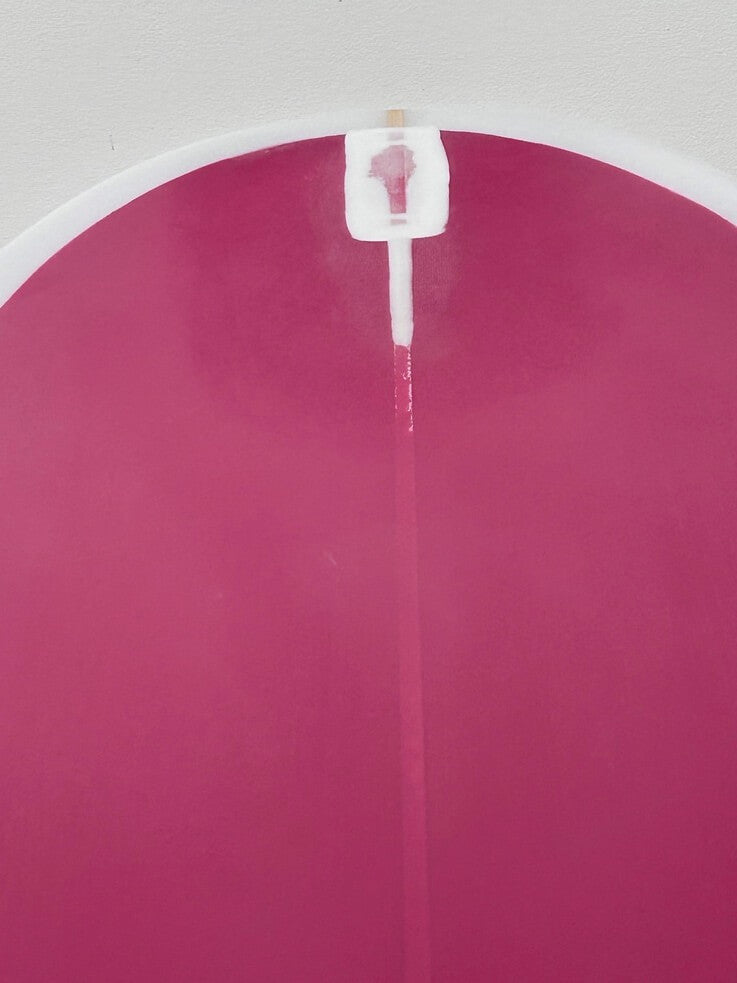 Critical Slide Loggerhead - PU 9'8